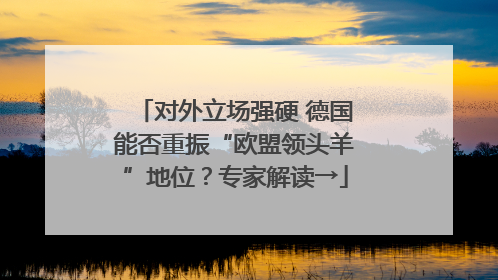 对外立场强硬 德国能否重振“欧盟领头羊”地位？专家解读→
