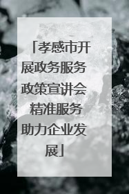 孝感市开展政务服务政策宣讲会 精准服务助力企业发展
