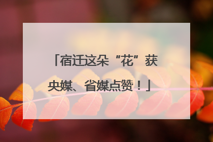 宿迁这朵“花”获央媒、省媒点赞！