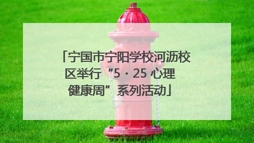 宁国市宁阳学校河沥校区举行“5・25 心理健康周”系列活动