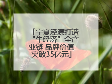 宁夏泾源打造“牛经济”全产业链 品牌价值突破35亿元