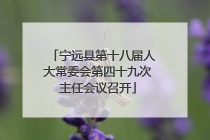 宁远县第十八届人大常委会第四十九次主任会议召开