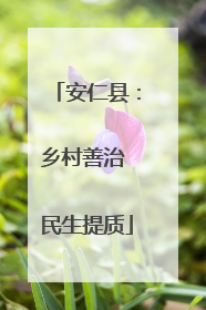 安仁县：乡村善治 民生提质