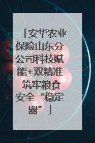 安华农业保险山东分公司科技赋能+双精准 筑牢粮食安全“稳定器”