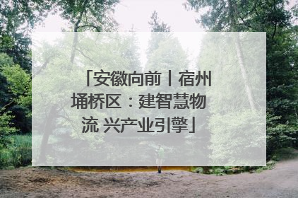 安徽向前丨宿州埇桥区：建智慧物流 兴产业引擎