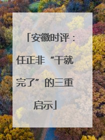 安徽时评：任正非“干就完了”的三重启示