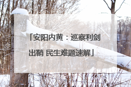 安阳内黄：巡察利剑出鞘 民生难题速解