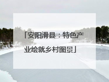 安阳滑县：特色产业绘就乡村图景