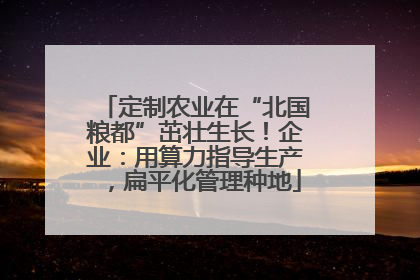 定制农业在“北国粮都”茁壮生长！企业：用算力指导生产，扁平化管理种地