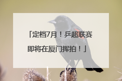 定档7月！乒超联赛即将在厦门挥拍！