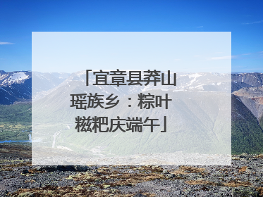 宜章县莽山瑶族乡：粽叶糍粑庆端午