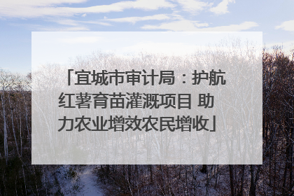 宜城市审计局：护航红薯育苗灌溉项目 助力农业增效农民增收