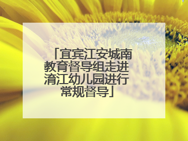 宜宾江安城南教育督导组走进淯江幼儿园进行常规督导