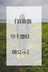 宜春领导干部任前公示