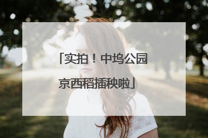 实拍！中坞公园京西稻插秧啦