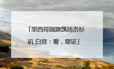 墨西哥国旗飘扬洛杉矶 白宫：看，罪证