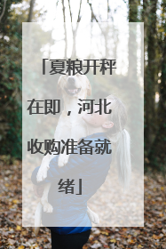夏粮开秤在即，河北收购准备就绪