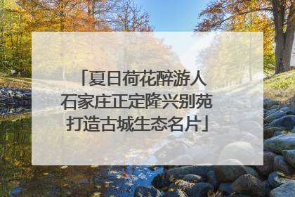 夏日荷花醉游人 石家庄正定隆兴别苑打造古城生态名片