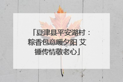 夏津县平安湖村：粽香包意暖夕阳 艾锤传情敬老心