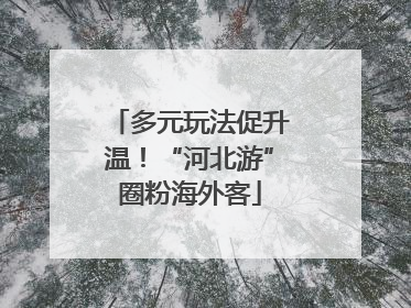 多元玩法促升温！“河北游”圈粉海外客