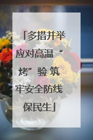 多措并举应对高温“烤”验 筑牢安全防线保民生
