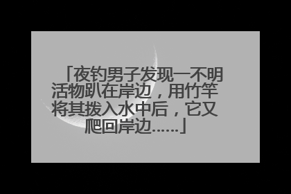 夜钓男子发现一不明活物趴在岸边，用竹竿将其拨入水中后，它又爬回岸边……