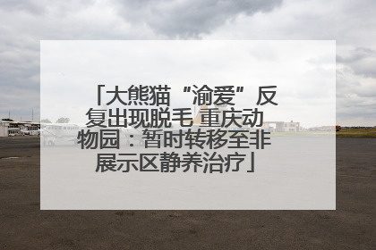 大熊猫“渝爱”反复出现脱毛 重庆动物园：暂时转移至非展示区静养治疗