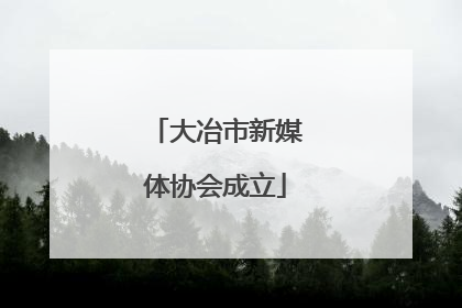 大冶市新媒体协会成立