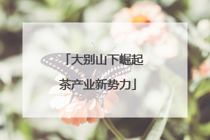 大别山下崛起茶产业新势力