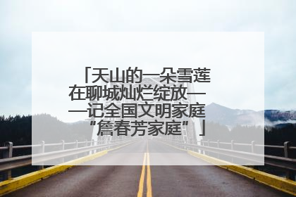 天山的一朵雪莲在聊城灿烂绽放——记全国文明家庭“詹春芳家庭”