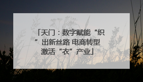 天门：数字赋能“织”出新丝路 电商转型激活“衣”产业