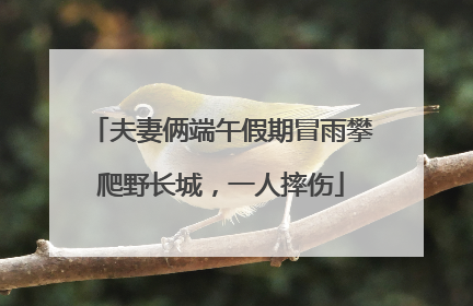 夫妻俩端午假期冒雨攀爬野长城，一人摔伤