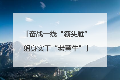 奋战一线“领头雁” 躬身实干“老黄牛”