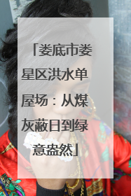娄底市娄星区洪水单屋场：从煤灰蔽日到绿意盎然