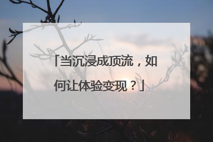 当沉浸成顶流，如何让体验变现？