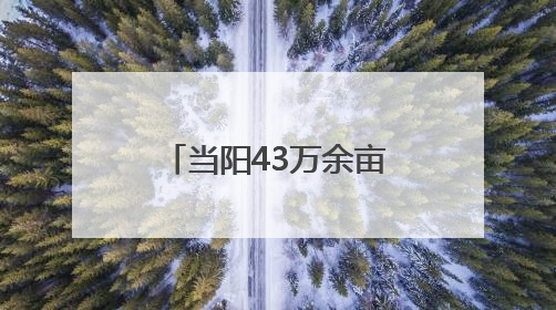 当阳43万余亩油菜颗粒归仓