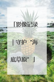 影像记录｜守护“海底草原”
