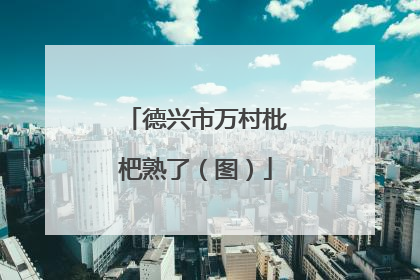 德兴市万村枇杷熟了（图）