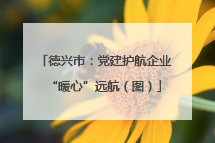 德兴市：党建护航企业“暖心”远航（图）