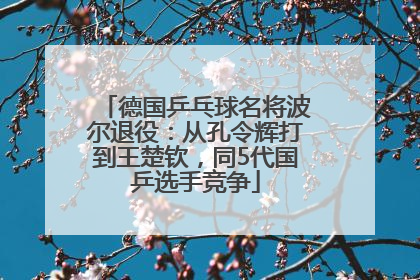 德国乒乓球名将波尔退役：从孔令辉打到王楚钦，同5代国乒选手竞争