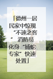 德州一居民家中惊现“不速之客” 消防员化身“捕蛇专家”快速处置