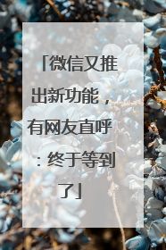 微信又推出新功能，有网友直呼：终于等到了
