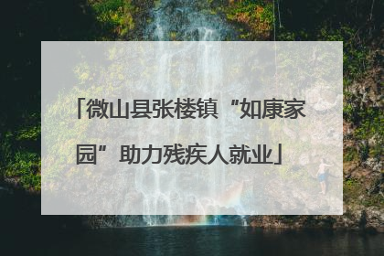 微山县张楼镇“如康家园”助力残疾人就业