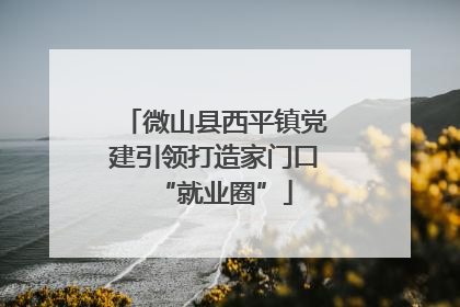 微山县西平镇党建引领打造家门口“就业圈”