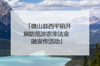 微山县西平镇开展防范涉农非法金融宣传活动