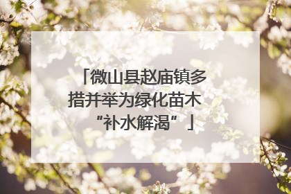 微山县赵庙镇多措并举为绿化苗木“补水解渴”