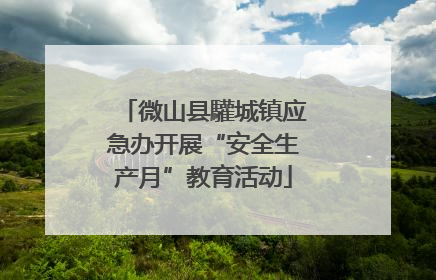 微山县驩城镇应急办开展“安全生产月”教育活动
