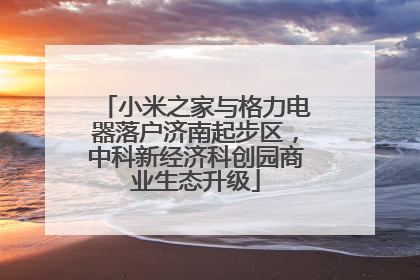 小米之家与格力电器落户济南起步区，中科新经济科创园商业生态升级