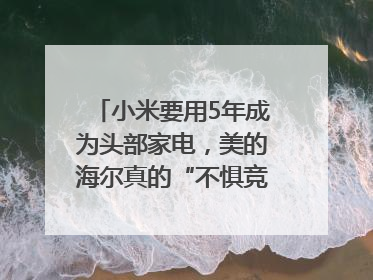 小米要用5年成为头部家电，美的海尔真的“不惧竞争”？｜热财经