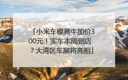 小米车模黄牛加价300元！实车本周到店？大湾区车展将亮相